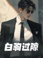 白驹过隙打一数字