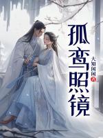 孤鸾照镜的近义词
