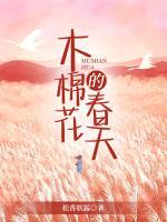 木棉花的春天什么时候上映