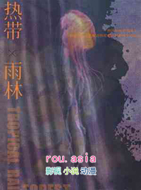 热带雨林有什么植物