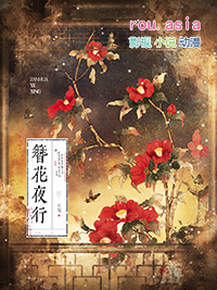 簪花夜行讲的什么