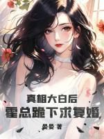 主角苏暖霍亦辰