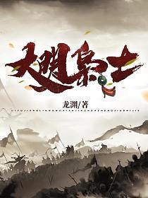 大明枭士书评