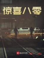 李小文上诉