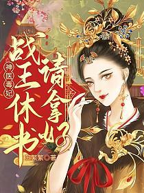 神医毒妃战王休书请拿好TXT全文免费阅读