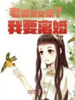 主角叫陆云霄