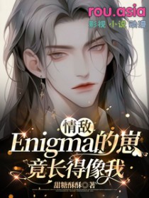 情敌Enigma的崽竟长得像我攻是谁