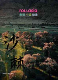 沙棘籽油的功效和作用
