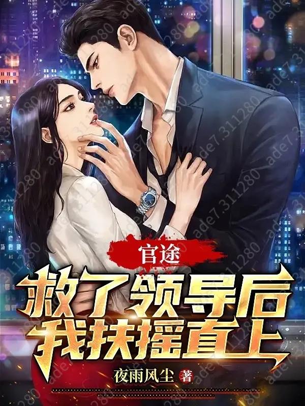 官途救了领导后我扶摇直上夜雨风尘