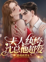 沈总他超爱