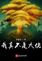 我真不是大佬动漫免费观看