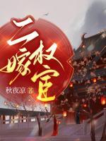 二嫁权臣免费