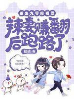 宋清让闻溪免费阅读