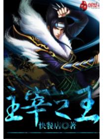 主宰之王txt