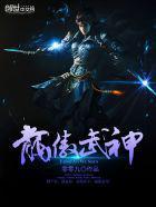 龙傲武神龙昊几个女人