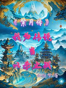 紫月传奇是什么