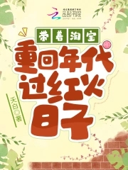 带着淘宝重回年代过红火日子类别穿越作者 夭白