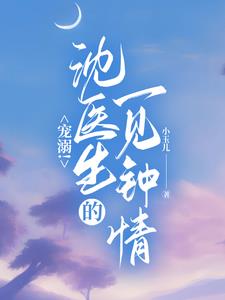 沈医生宠妻
