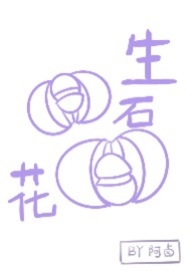 生石花换盆教程