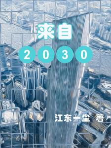 来自2030的人说中国