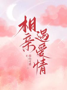 相亲遇到爱完整版