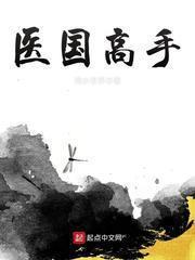医国高手 聚合中文网