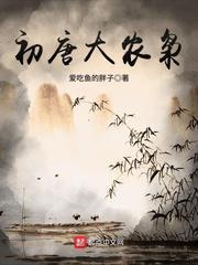 初唐大农枭百度