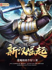 三国之新汉崛起游戏