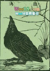 空壳企业的认定标准