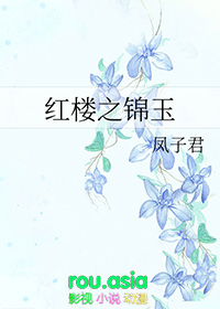 红楼之璟玉