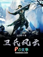 卫氏风云原著叫什么