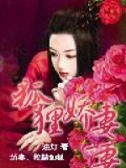 狐狸娇妻H1V1