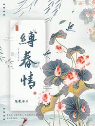 缚春情江宴的番外内容