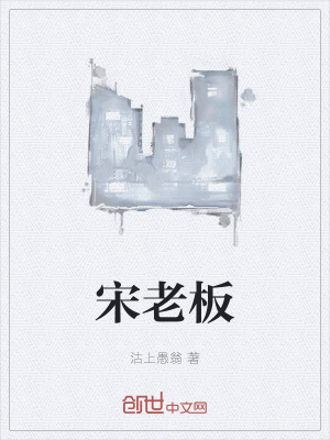德州宋老板