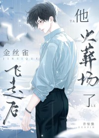 金丝雀飞走后他火葬场了晋江