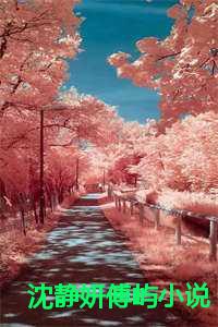 傅恬恬沈时卿免费阅读