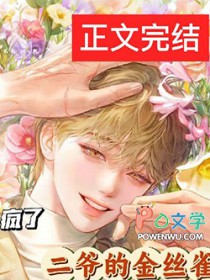 二爷的金丝雀疯了by人间言火 讲的什么