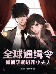 全球通缉令老婆离婚无效宜栖