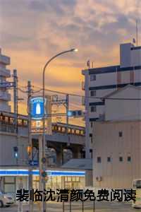 裴临沈清颜免费阅读第24章