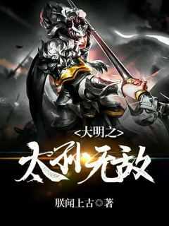 大明之太孙无敌 几个老婆