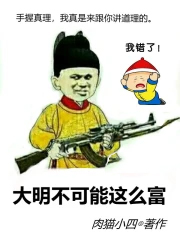 大明不可能这么富书评