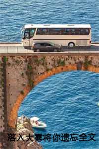 落入大雾将你遗忘全文免费阅读20章