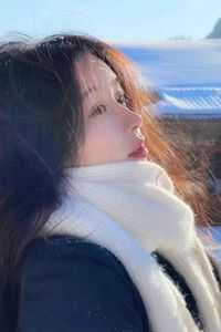 照云长倾月兔大结局