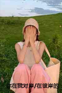 你在我对岸在彼岸的你 作者夏添季斯琰著