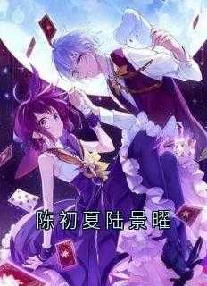 陈初夏陆景曜书评