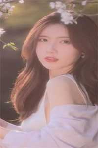 程洵黎洛全文免费阅读最新章节