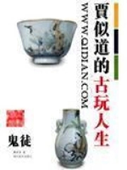 贾似道的古玩人生 笔趣阁在线