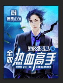 全职高手电视剧高手