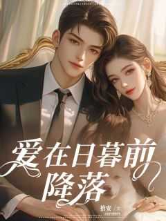 爱在日暮前降落结局