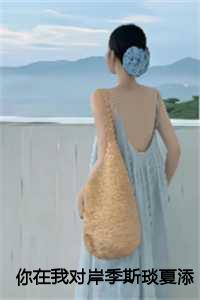 你在我对岸季斯琰夏添免费阅读1 2